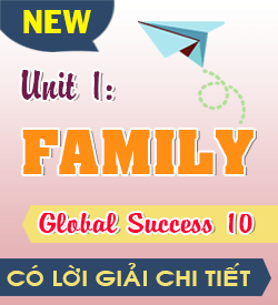 UNIT 1. FAMILY - GLOBAL SUCCESS 10 (2027)